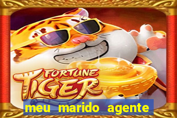 meu marido agente secreto torrent